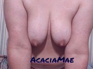 AcaciaMae