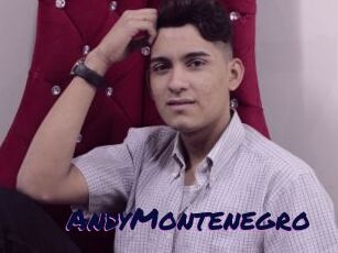 AndyMontenegro