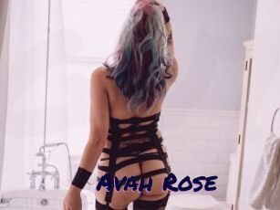 Avah_Rose