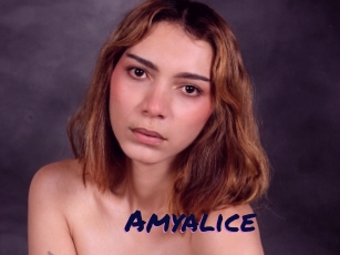 Amyalice