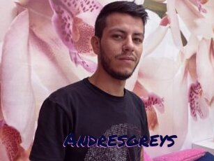 Andresgreys