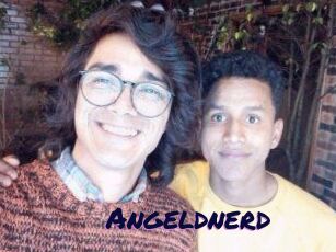 Angeldnerd