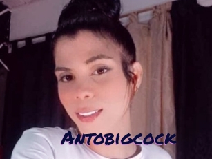 Antobigcock