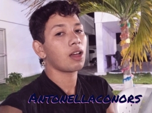 Antonellaconors