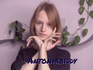 Antoniabiddy