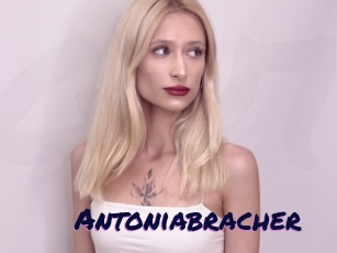 Antoniabracher