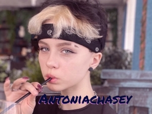 Antoniachasey