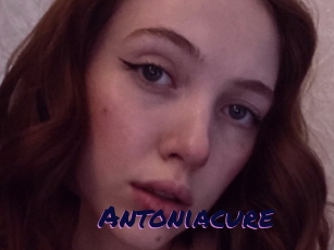 Antoniacure