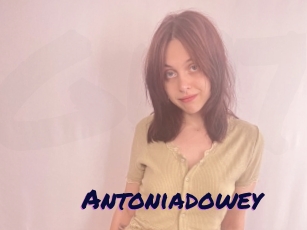 Antoniadowey