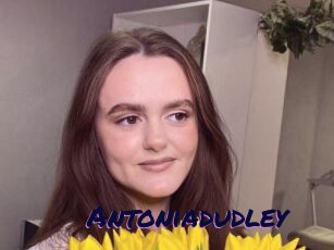 Antoniadudley