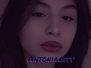 Antoniagitt