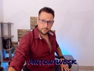 Antonywesk