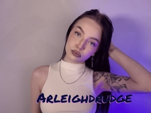 Arleighdrudge