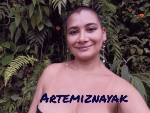 Artemiznayak