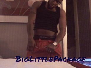 BigLittlePackage