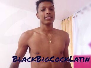 BlackBigCockLatin