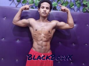 BlackBodyX