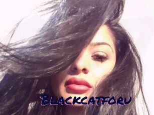 Blackcatforu