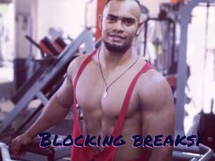 Blocking_breaks1