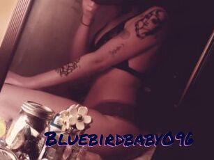 Bluebirdbaby096