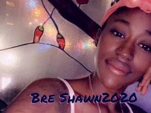 Bre_Shawn2020