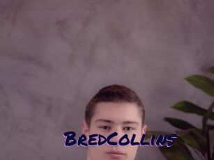 BredCollins