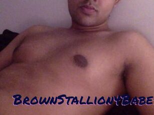 BrownStallion4Babes