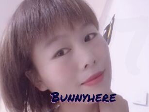 Bunnyhere