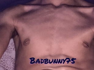 Badbunny75