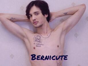 Bernicute