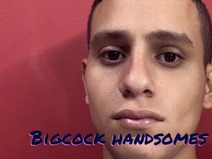 Bigcock_handsomes