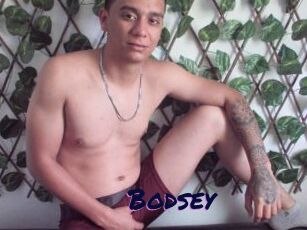 Bodsey