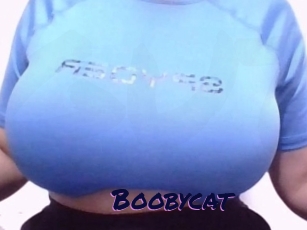 Boobycat