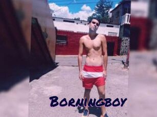 Borningboy