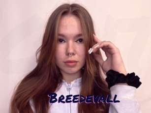 Breedevall