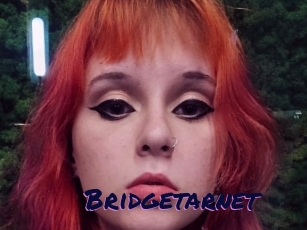 Bridgetarnet