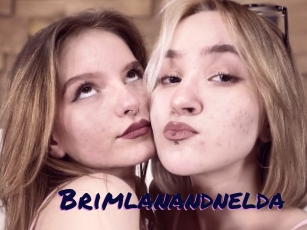 Brimlanandnelda