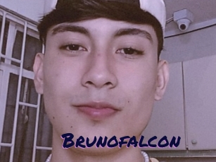 Brunofalcon