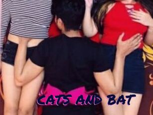 CATS_AND_BAT