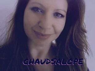 CHAUDSALOPE