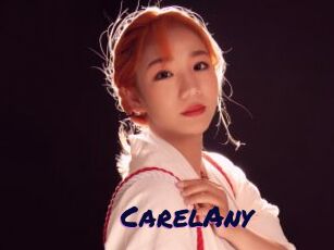 CarelAny