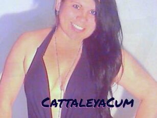 CattaleyaCum