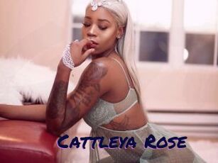 Cattleya_Rose