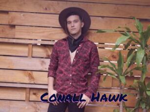 Conall_Hawk