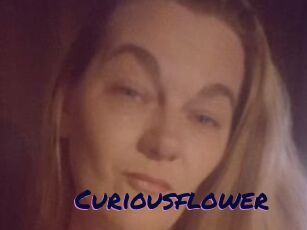 Curiousflower