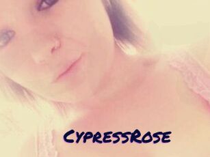 Cypress_Rose