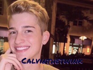 Calvinthetwink