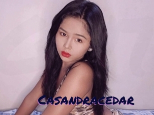 Casandracedar