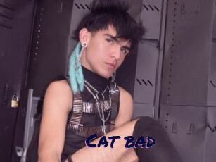 Cat_bad