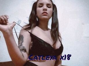 Catleya_x18